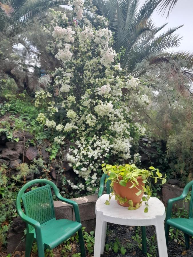 Apartment -the Garden - Las Palmas / Gran Canaria