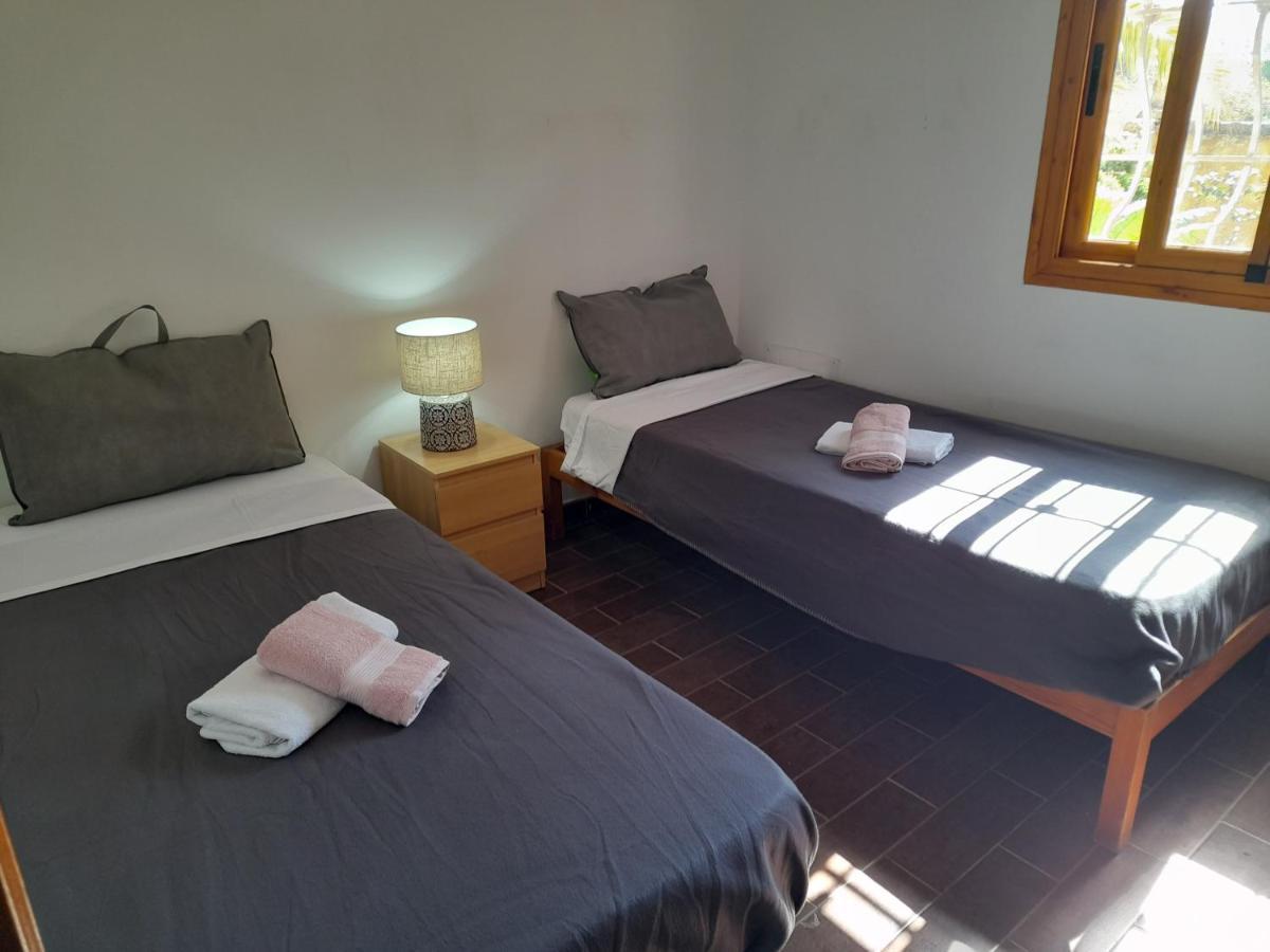 -the Garden - Appartement